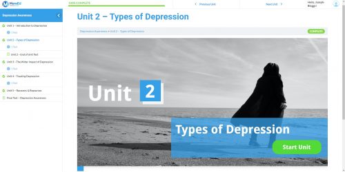 Depression Awareness Unit Example